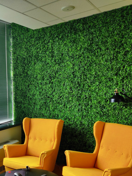 Green Wall Lebiodka 50x50 [6]