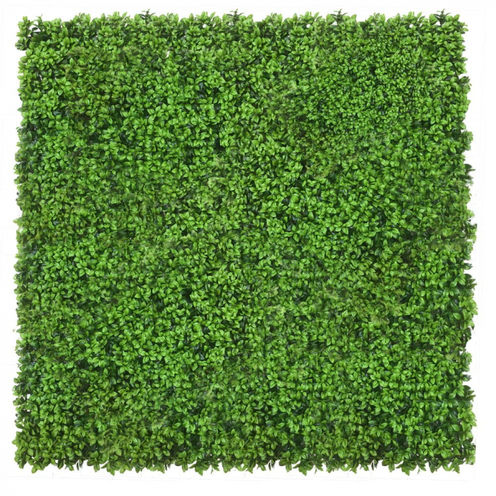 Green Wall Lebiodka 50x50 [2]