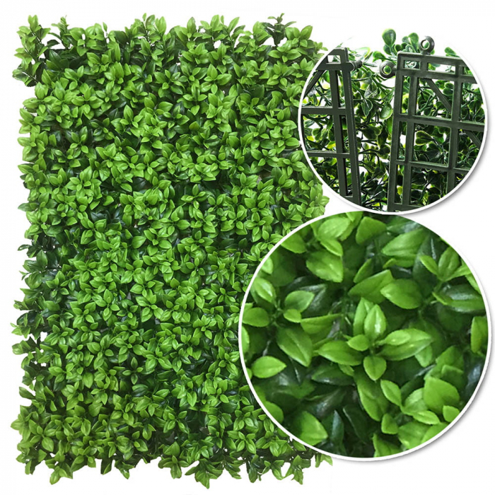 Green Wall Lebiodka 50x50 [5]