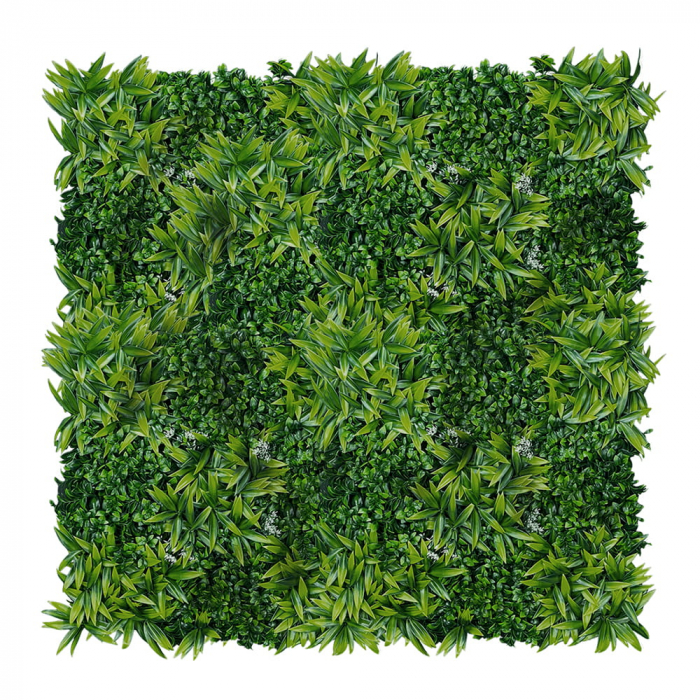 Green Wall Lemon tree 50x50cm [2]