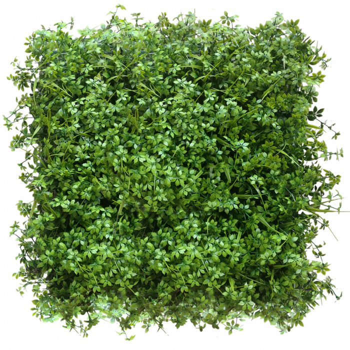 Green Wall Lubczyk 50x50 [3]