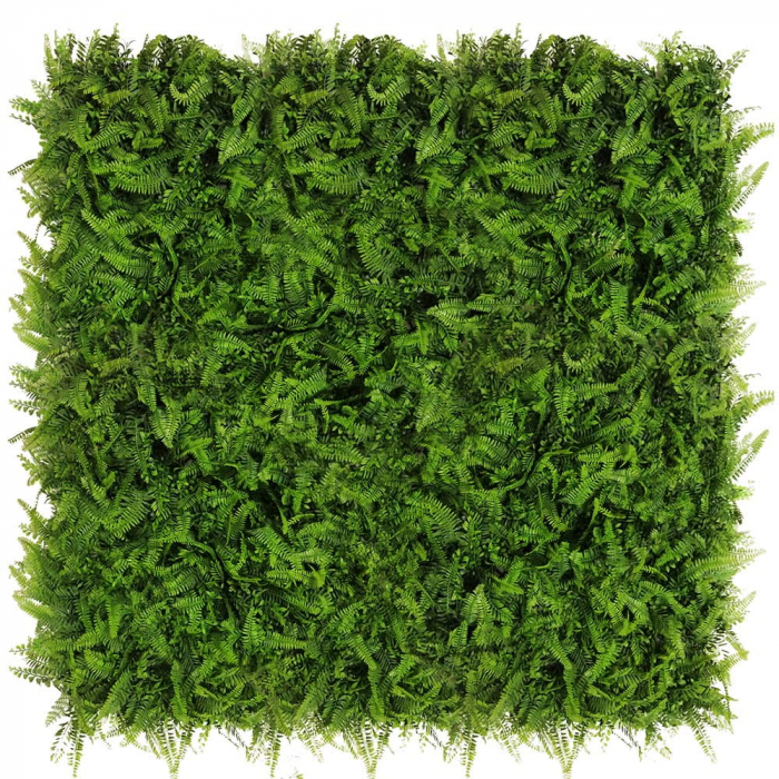Green Wall Paprotnik 50x50 [6]