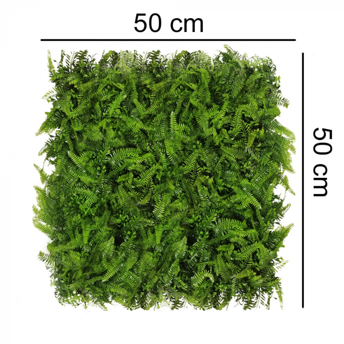 Green Wall Paprotnik 50x50 [2]