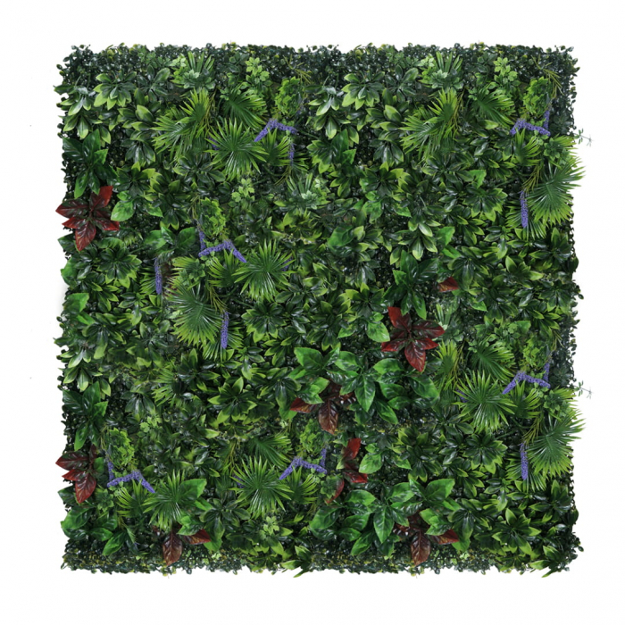 Green Wall Pasărea Paradisului 50x50cm [2]