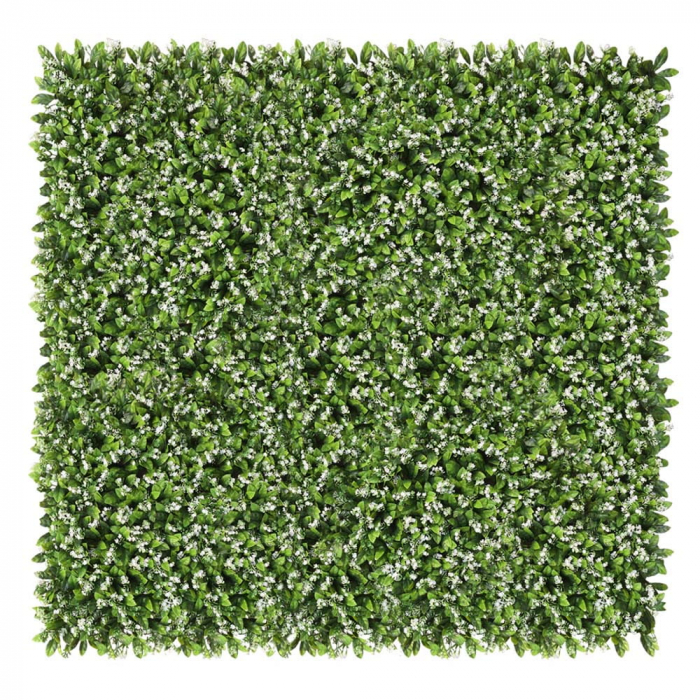 Green Wall Rukiew 40x60 [3]