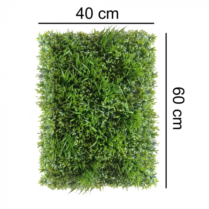 Green Wall Ruskus 40x60 [2]