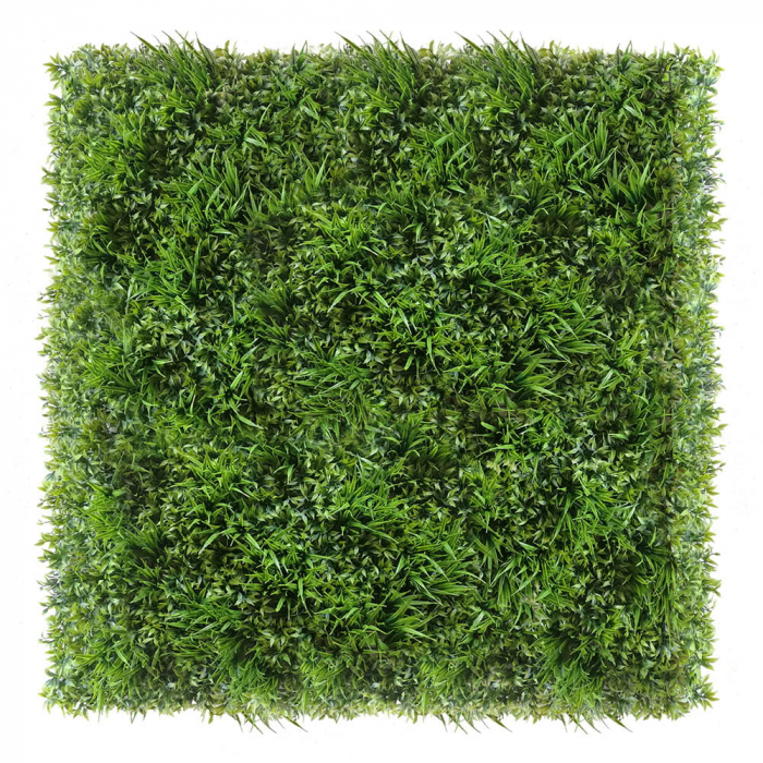 Green Wall Ruskus 40x60 [3]
