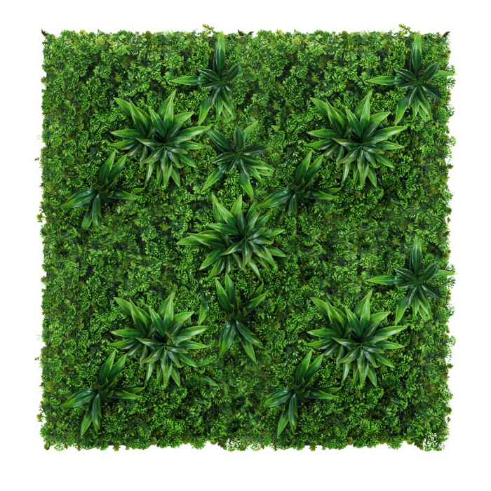 Green Wall Sukulent 50x50cm [2]