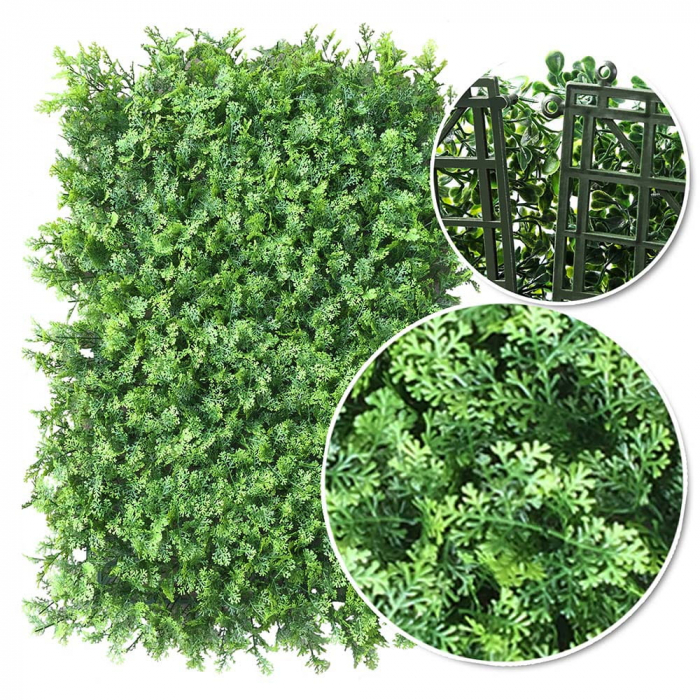 Green Wall Tuja 50x50 [6]