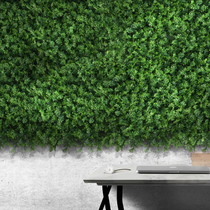 Green Wall Tuja 50x50 [3]