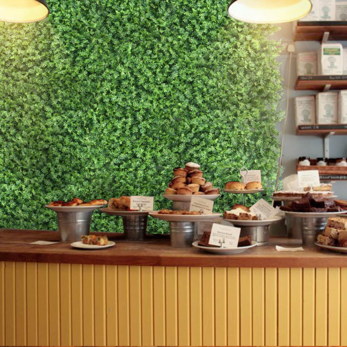 Green Wall Tuja 50x50 [4]
