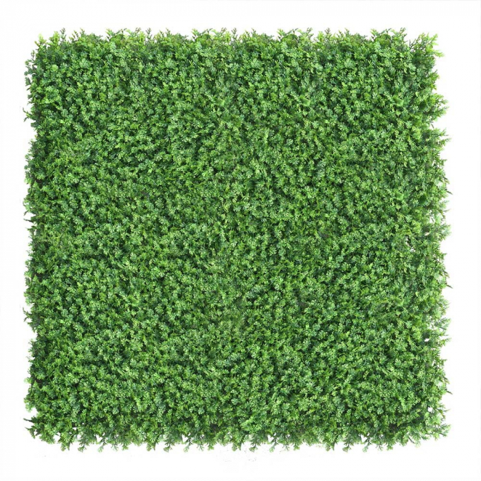 Green Wall Tuja 50x50 [2]