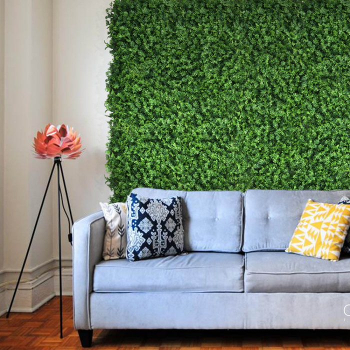 Green Wall Tuja 50x50 [5]