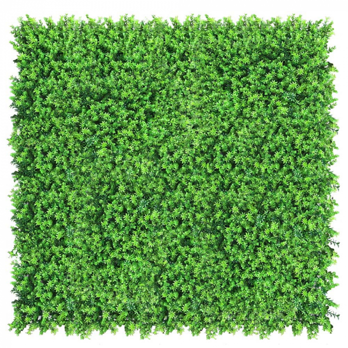 Green Wall Wartolka 50x50 [2]