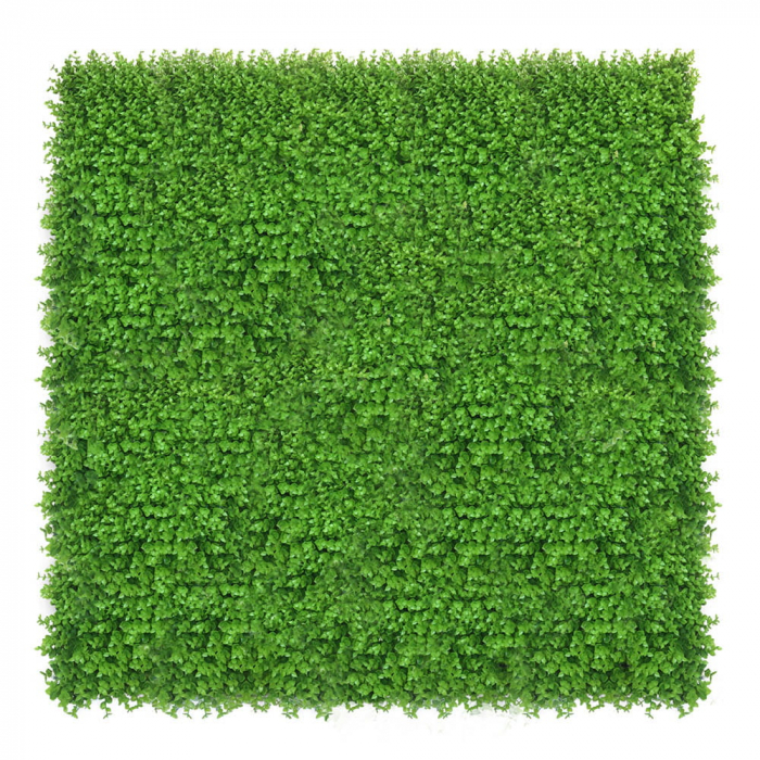 Green Wall Wielomlecz  50x50 [2]