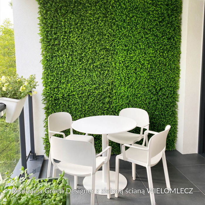 Green Wall Wielomlecz  50x50 [6]