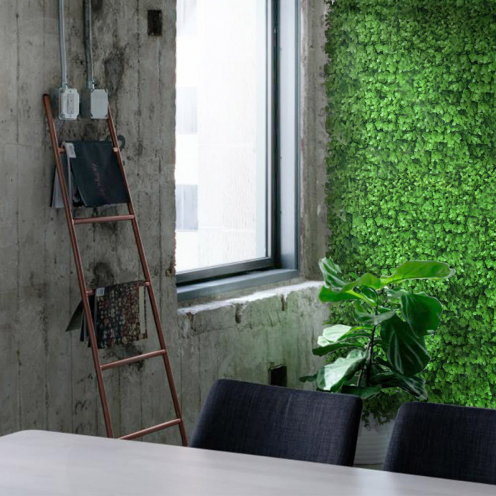Green Wall Wielomlecz  50x50 [4]