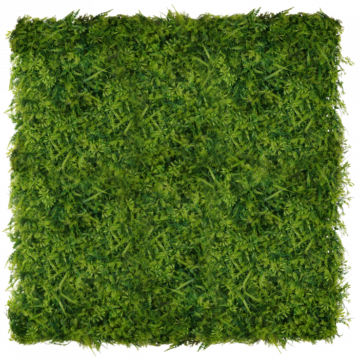 Green Wall Wronog 50x50 [5]