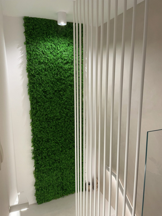 Green Wall Wronog 50x50 [10]