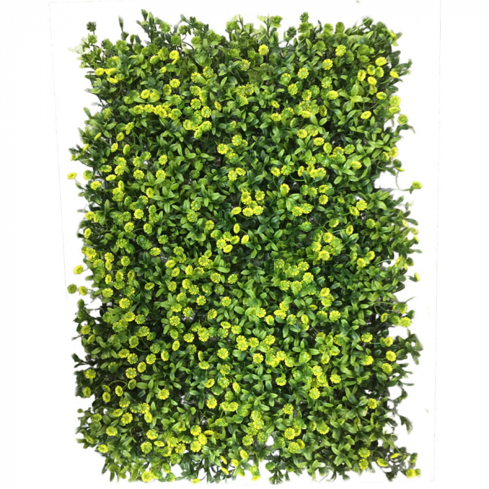 Green Wall Ziarnoplon 40x60 [1]