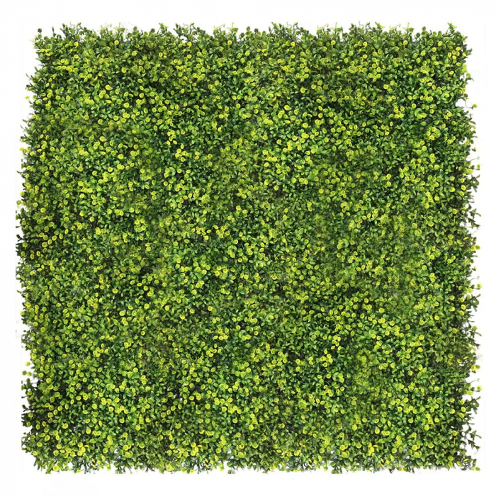 Green Wall Ziarnoplon 40x60 [3]