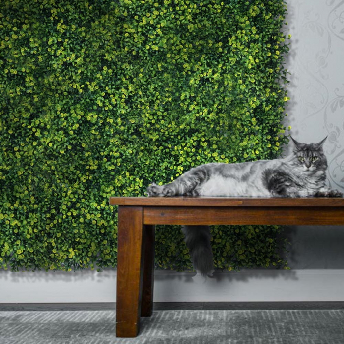 Green Wall Ziarnoplon 40x60 [5]