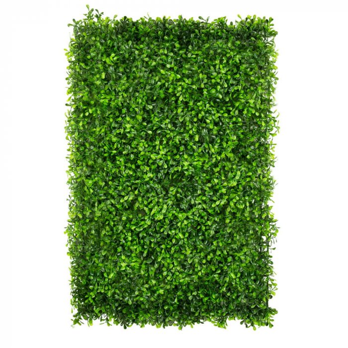 Green Wall Zielony Dziurawiec 40x60 [1]