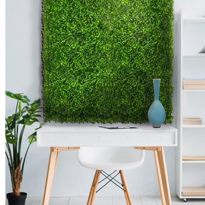 Green Wall Zielony Dziurawiec 40x60 [5]