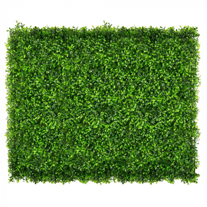 Green Wall Zielony Dziurawiec 40x60 [4]