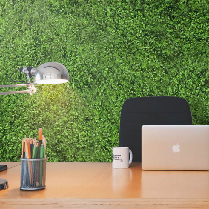 Green Wall Zmienka 50x50 [4]