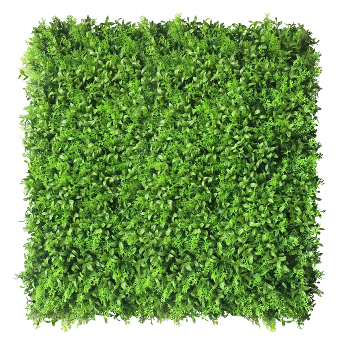 Green Wall Zmienka 50x50 [1]