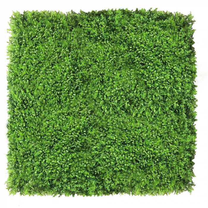 Green Wall Zmienka 50x50 [2]
