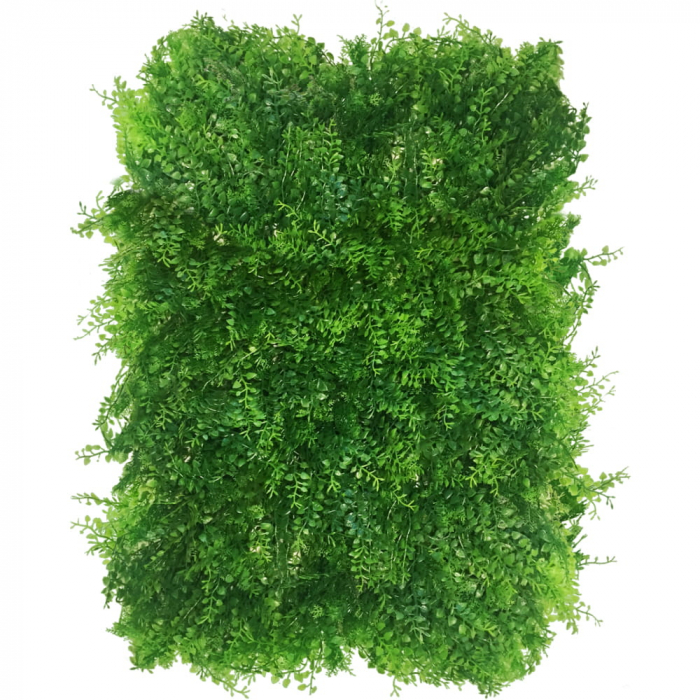 Green Wall Znakocica 40x60 [1]