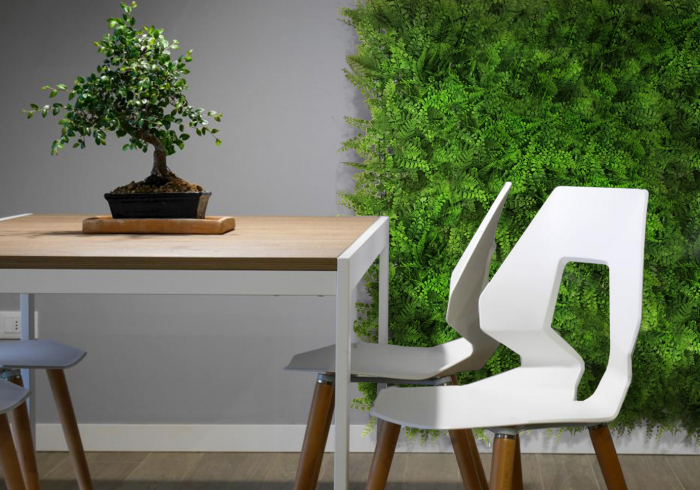 Green Wall Znakocica 40x60 [7]