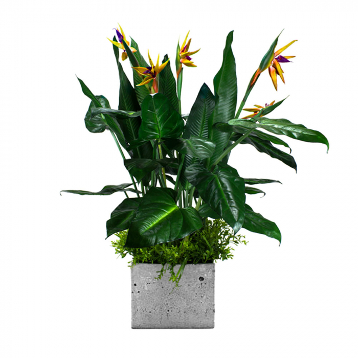 Inserție pentru ghiveci Paradise Bird [1]