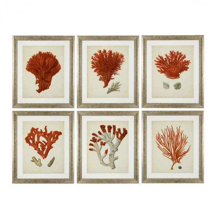   Set de 6 tablouri cu corali roșii antici 111741 EICHHOLTZ [1]