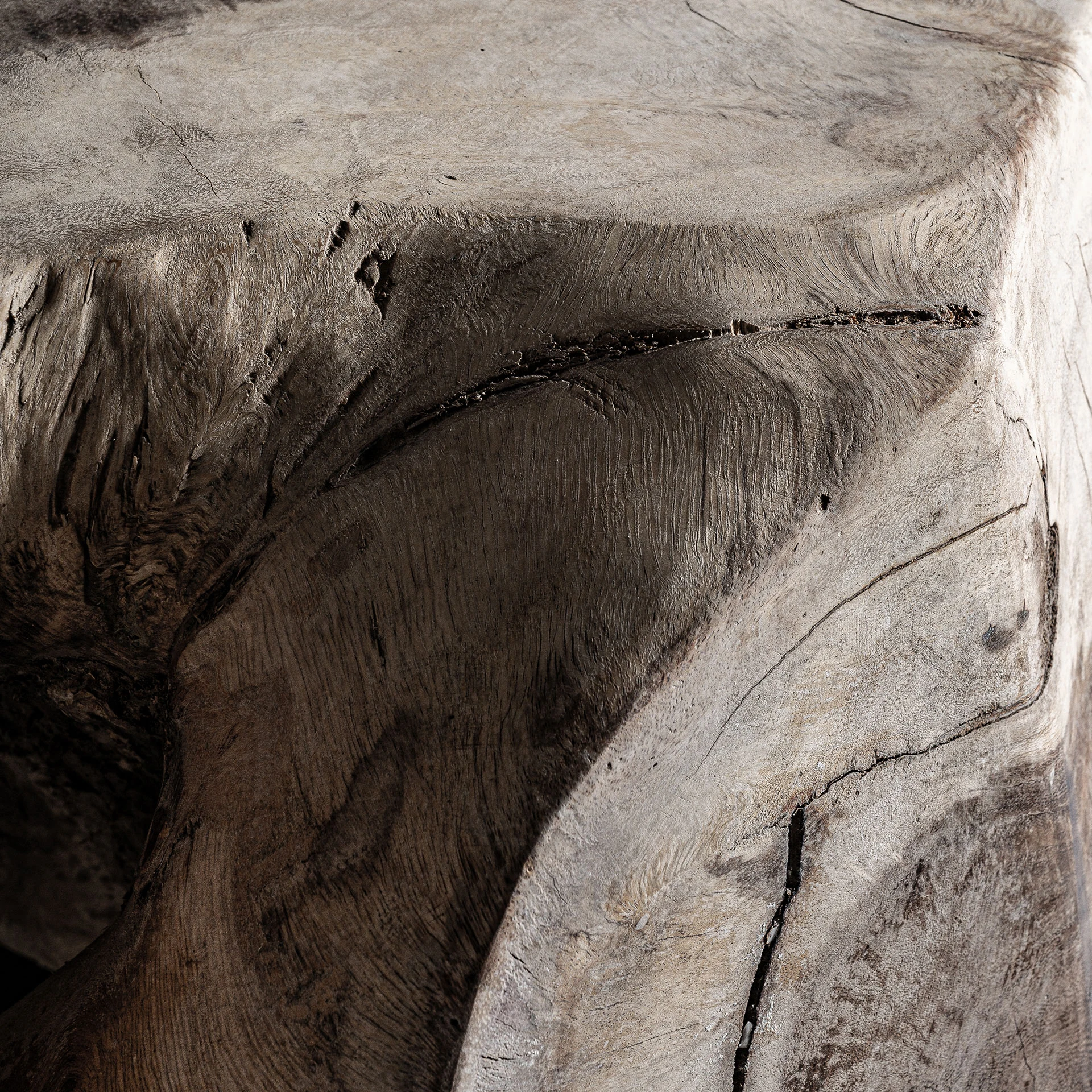 MASUTA DE CAFEA TUXFORD VicalHome 35368 [9]