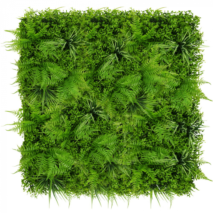 Paprotka de perete verde 50x50cm [1]
