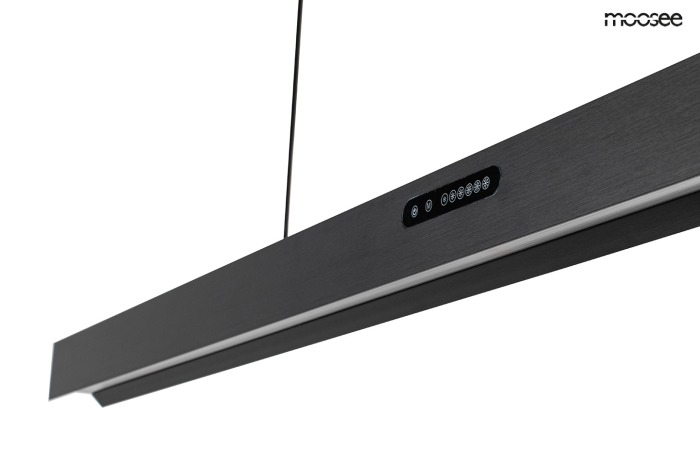 Pendul Liner 113,5x6x175 cm, Oțel și Acril Negru - Moosee [4]