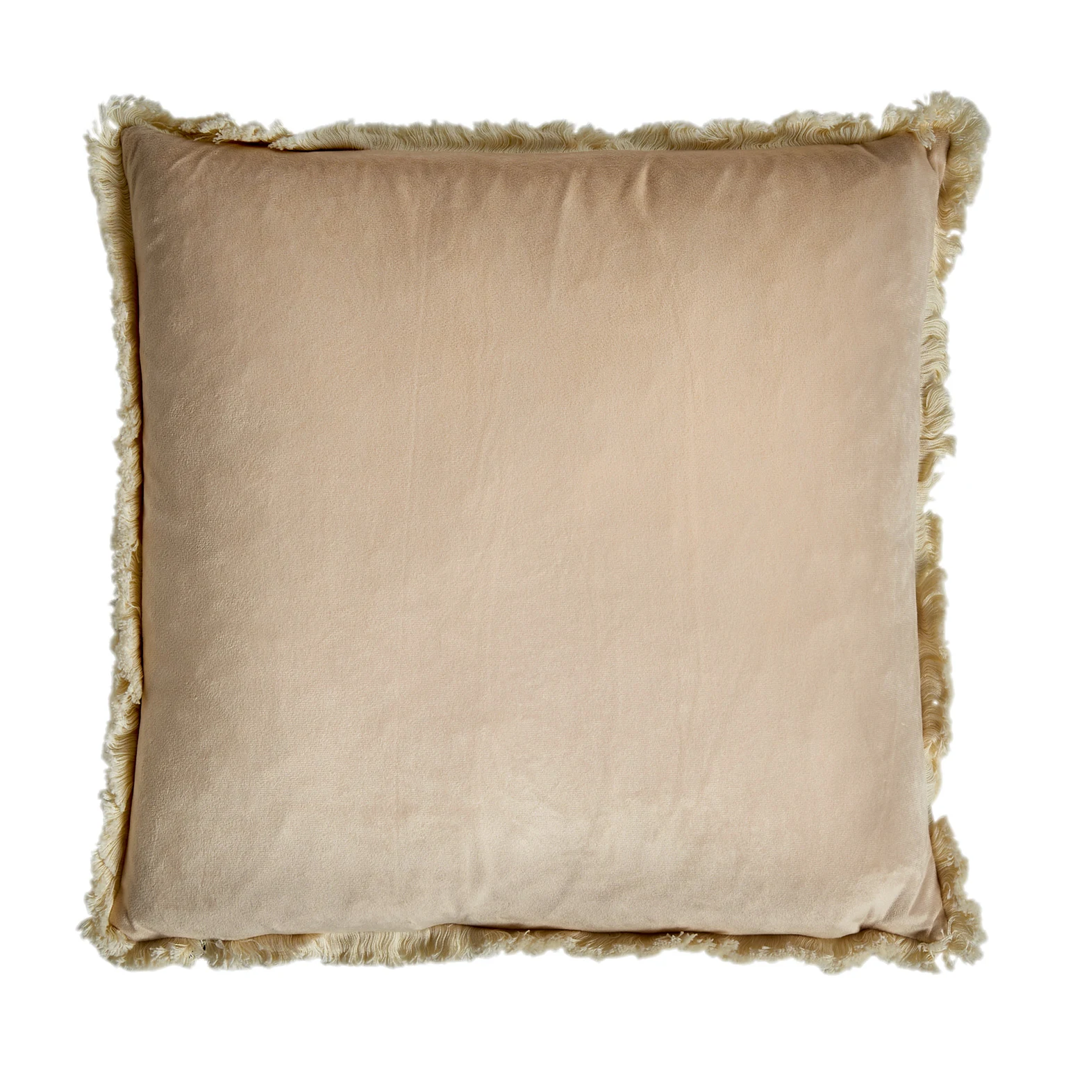 PERNA BASHA VicalHome 30231 [2]