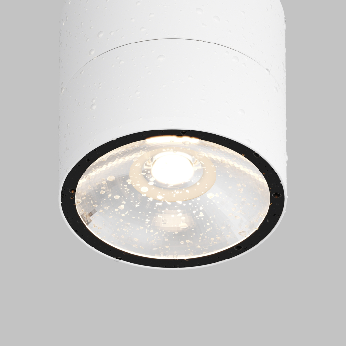 Plafonieră de exterior Spin, Metal și sticlă Alb, 12W, MAYTONI O310CL-L12W3K [6]