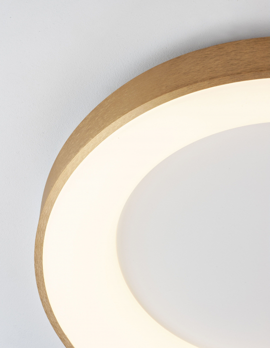 Plafoniera dimabila LED rotunda Rondo Slim Ø38/60 cm, argientie/aurie/maro/alba/neagra, 9353831 - Novaluce [12]