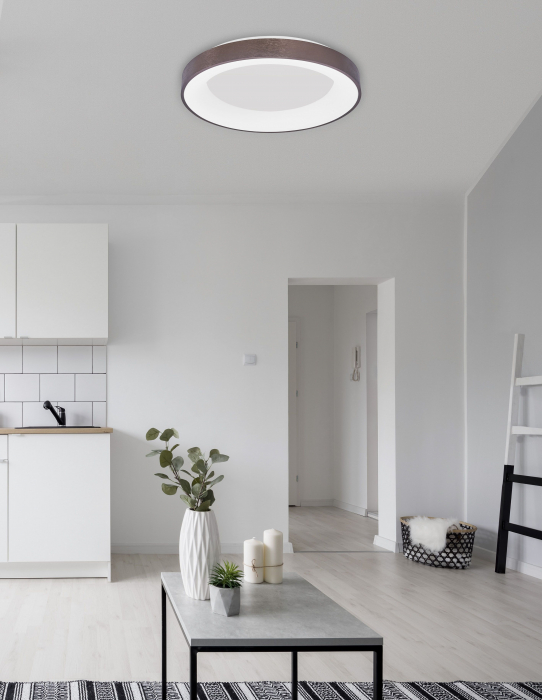 Plafoniera dimabila LED rotunda Rondo Slim Ø38/60 cm, argientie/aurie/maro/alba/neagra, 9353831 - Novaluce [38]
