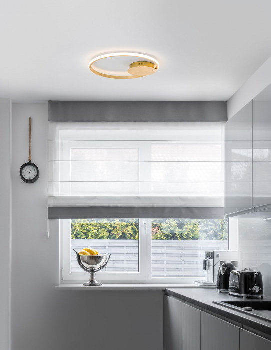 Plafoniera eleganta LED dimabila aurie/neagra/alba Rajma Ø50 cm, design minimalist, 9348071 - Novaluce [7]