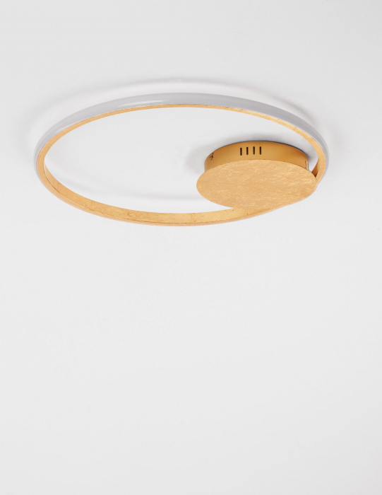 Plafoniera eleganta LED dimabila aurie/neagra/alba Rajma Ø50 cm, design minimalist, 9348071 - Novaluce [2]