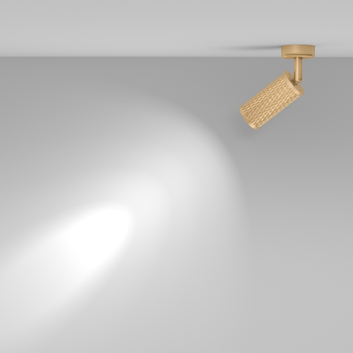 Plafonieră Focus Design, Aluminiu Auriu mat, 10W, MAYTONI C034CL-01G [8]