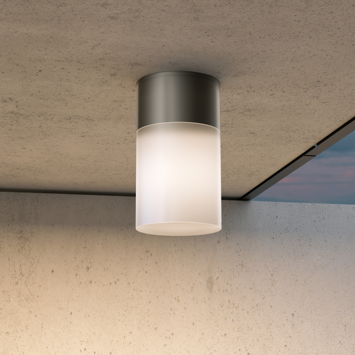 Plafoniera pentru exterior Willis O418CL-01B, 1xE27, neagra, IP54, Maytoni [2]