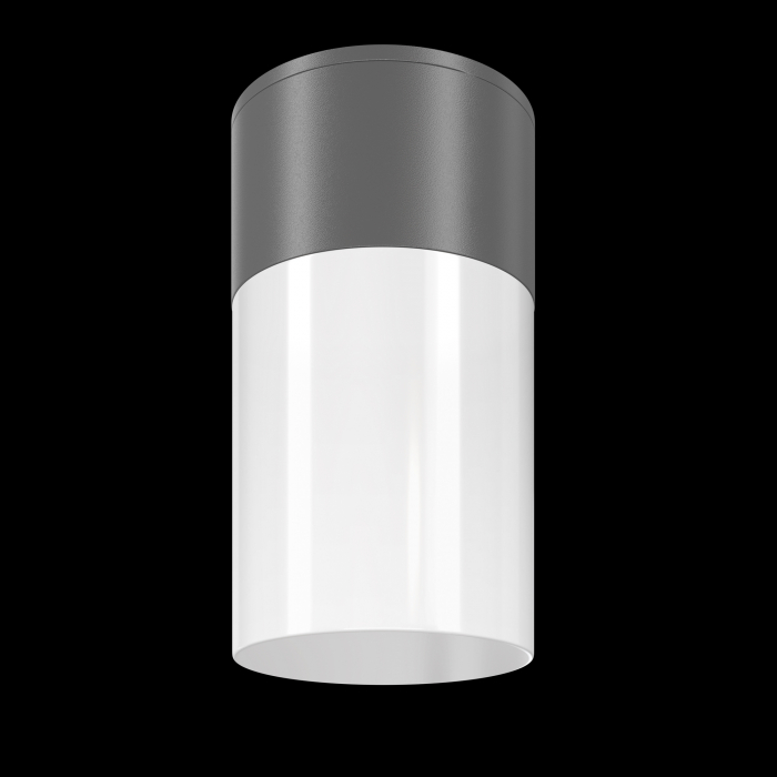 Plafoniera pentru exterior Willis O418CL-01GR, 1xE27, grafit, IP54, Maytoni [2]