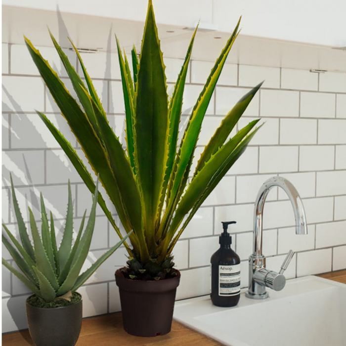 Planta artificiala Agawa Americana 120cm [2]