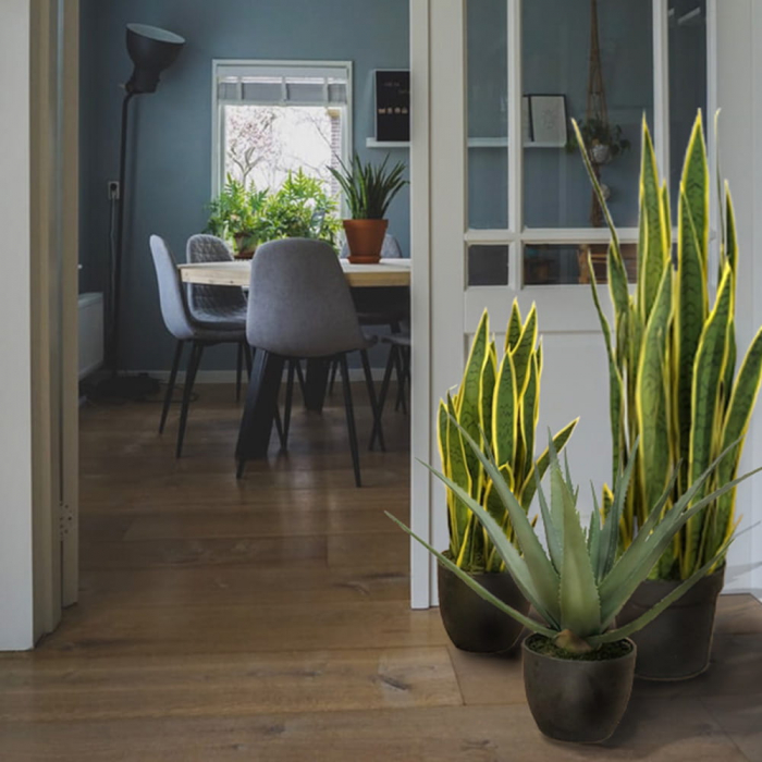 Planta artificiala Sansevieria Laurentii 90cm [2]